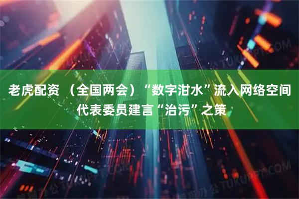 老虎配资 （全国两会）“数字泔水”流入网络空间 代表委员建言“治污”之策